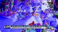 30th Festival of Trees held in Timonium