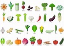 Easy Vegetables Drawing Fruit Clip Art, PNG, 1254x890px, Easy ...