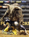 Professional Bull Riders Championship Round In St. Photo | Professional ...