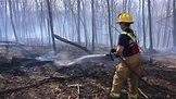 Strong winds contribute to large brush fires in Carroll, Howard ...