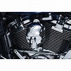 Kuryakyn 5730 Motorcycle Accent Accessory: Skull Horn Cover for 2017-19 ...
