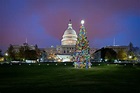 Capitol Christmas Tree | Architect of the Capitol