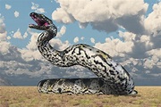 Titanoboa: la serpiente más grande del mundo - Mis Animales