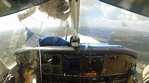 Bird crashes through plane windshield - TODAY.com