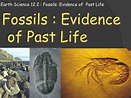 PPT - Earth Science 12.2 : Fossils :Evidence of Past Life PowerPoint ...