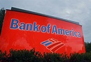 Bank of America stops handling payments for WikiLeaks - cleveland.com