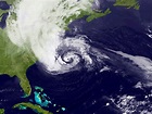 Hurricane Sandy blew migrating birds off track - CBS News