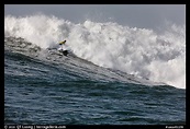 Picture/Photo: Surfer in Maverick wave. Half Moon Bay, California, USA