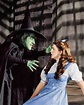Wizard of Oz Stills - Classic Movies Photo (19566060) - Fanpop