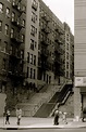 Bronx street stairs. | The bronx new york, Bronx history, Bronx nyc
