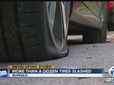 Two dozen tires slashed