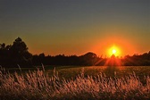 Photograph of the Sun setting · Free Stock Photo