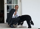 Obama Family Welcomes New Dog Sunny | HuffPost