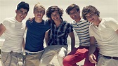 One Direction at the Beach - One Direction Wallpaper