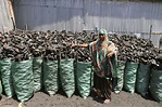 Somali traders want UN to lift charcoal trade ban