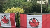Vandals deface Victoria man's Canada Day flag display | CTV News