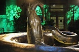 Titanoboa: así era la serpiente gigante de 15 metros de largo y una ...