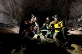 Cave-dwellers emerge after 40 days in darkness for scientific study ...