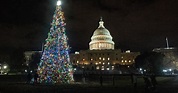 55-Foot Christmas Tree From Colorado Heads To U.S. Capitol - CBS Colorado