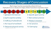Concussion Policy, Information & Management