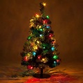 Pathway Christmas Tree Lights, Mini Outdoor Christmas Trees – Pathway ...