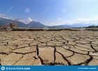 The Dried Up Lake Forggensee in Allgu. a Tree Trunk on the Bottom of a ...