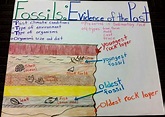Fossils: Evidence of the Past Anchor Chart | Science anchor charts ...