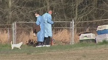 Dozens of animals removed from home in Belton - YouTube