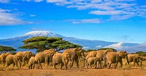 The 6 Most Fascinating Kenyan Landscapes – African Safari Tours ...