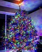 Multi Colored Christmas Tree Ideas With Colored Lights - missalysahh16
