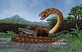 Titanoboa, a giant snake that ruled over South America about 60 million ...