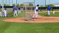 Ian Happ practicing his bunting - Chicago Cubs 2020 Spring Training ...