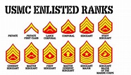 Large USMC Enlisted Rank Chart 3 color vinyl wall decal FREE | Etsy