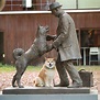Bức tượng chú chó Hachiko tại Nhật Bản và những chuyện chưa kể - Du ...
