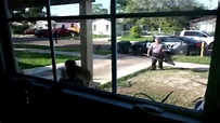 Monkey terrorizes Texas neighborhood - ABC13 Houston