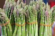 Asparagus Bush : 12 Amazing Health benefits