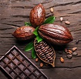 Cocoa pod cocoa beans and chocolate featuring background, bar of ...