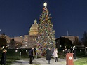 A Colorado Spruce’s Journey To Becoming The US Capitol Christmas Tree ...