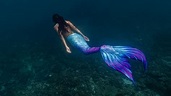 Are Mermaids Real? Facts, History, and Famous Sightings - American Oceans
