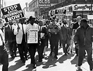 Segregation In The 1970s | olympiapublishers.com
