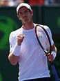 Andy Murray Vs Tomas Berdych Miami Open - Mirror Online