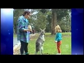 Australia's Funniest Home Videos Compilation - YouTube