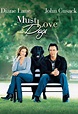 Must Love Dogs DVD Release Date
