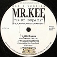 Mr. Kee - 14 Kt. Dreams (Radio Version): Record | Rap Music Guide