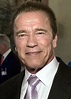 File:Arnold Schwarzenegger February 2015.jpg