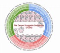 TCDA (The Cancer Druggable Gene Atlas)