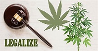 Everything You Need to Know About Cannabis Legalization