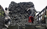 Iran facilitating banned Somali charcoal exports, UN report says | The ...