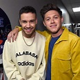 Liam Payne and Niall Horan Have Another One Direction Reunion