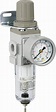 PneumaticPlus SAW200-G02BG Miniature Compressed Air Filter Regulator ...